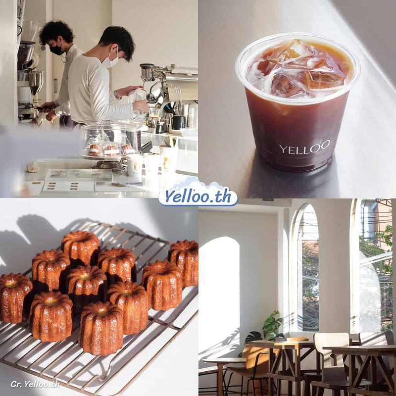 a day in chiang mai coffee brew, asama coffee & roastery, evergreen.cafe.hotel, lot of taste, matchappen, nakama café なかま, omnia cafe & roastery, reviewchiangmai, self, stories-cafe&bistro-chiangmai, the barisotel by the baristro, tomato.cafe.cnx, transit number 8, yelloo.th, กาแฟเชียงใหม่, คาเฟ่อากาศดีเชียงใหม่, คาเฟ่เชียงใหม่, ที่เที่ยวเชียงใหม่, บ้านเลขที่สามสาม-no.33, ผลิ : phli 봄 - cafe x khao soi, รีวิวเชียงใหม่, รวมคาเฟ่ที่มีเครื่องฟอกอากาศ เชียงใหม่ อัพเดต 15 คาเฟ่ อากาศดี