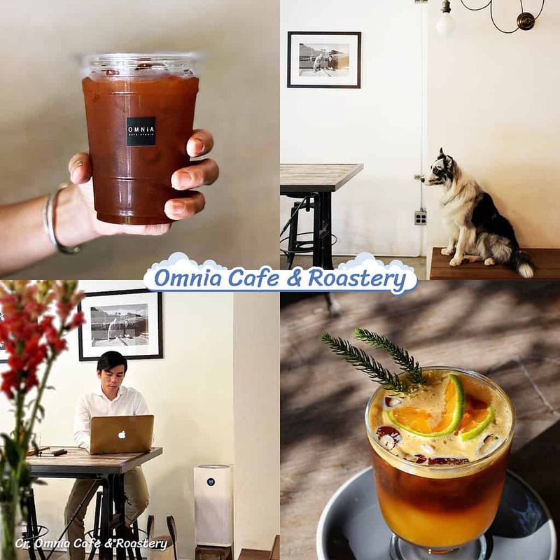 a day in chiang mai coffee brew, asama coffee & roastery, evergreen.cafe.hotel, lot of taste, matchappen, nakama café なかま, omnia cafe & roastery, reviewchiangmai, self, stories-cafe&bistro-chiangmai, the barisotel by the baristro, tomato.cafe.cnx, transit number 8, yelloo.th, กาแฟเชียงใหม่, คาเฟ่อากาศดีเชียงใหม่, คาเฟ่เชียงใหม่, ที่เที่ยวเชียงใหม่, บ้านเลขที่สามสาม-no.33, ผลิ : phli 봄 - cafe x khao soi, รีวิวเชียงใหม่, รวมคาเฟ่ที่มีเครื่องฟอกอากาศ เชียงใหม่ อัพเดต 15 คาเฟ่ อากาศดี
