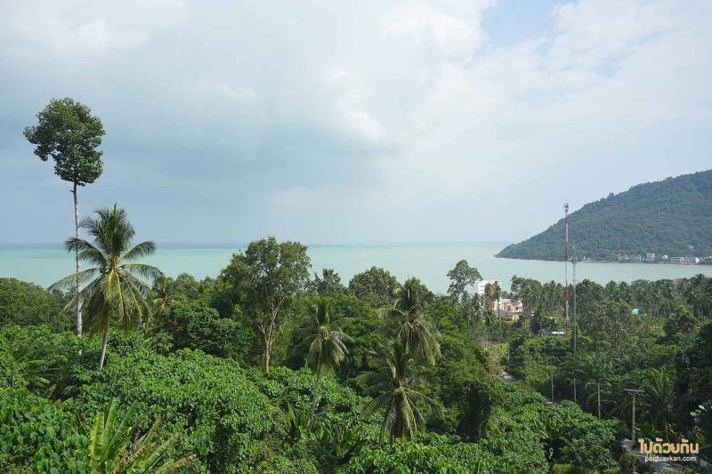 คาเฟ่ขนอม, blue terrace cafe  ขนอม, blue terrace cafe  คาเฟ่บนเนินเขา ชมวิวทะเลอ่าวขนอม