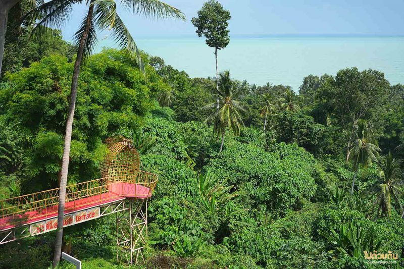 คาเฟ่ขนอม, blue terrace cafe  ขนอม, blue terrace cafe  คาเฟ่บนเนินเขา ชมวิวทะเลอ่าวขนอม