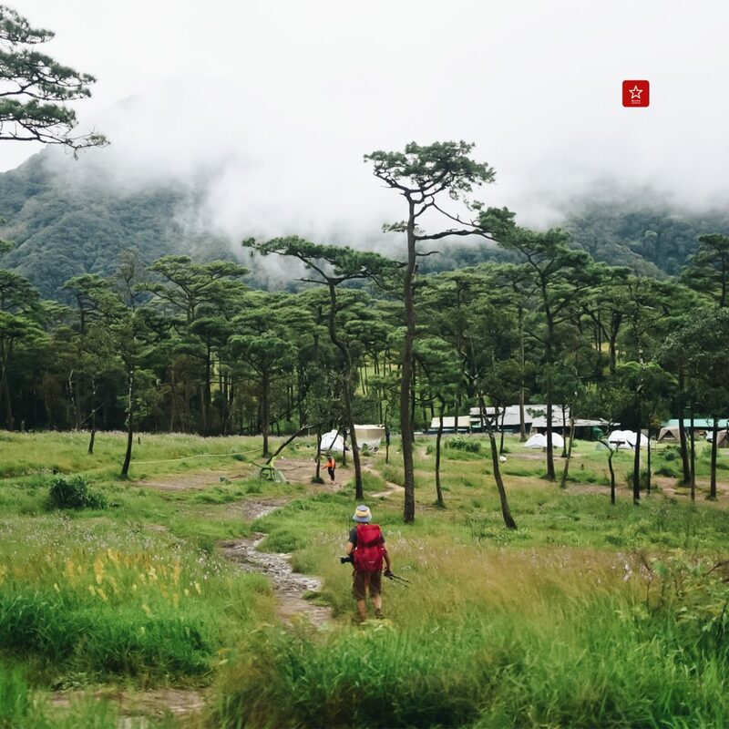 reviewchiangmai, ภูสอยดาว, รีวิวเชียงใหม่, ลานสนภูสอยดาว, อุตรดิตถ์, เดินป่าหน้าฝน, เดินป่าหน้าหนาว, เดินป่าอุตรดิตถ์, ภูสอยดาว เดินป่าหน้าฝน รีวิวเชียงใหม่ ไป ลานสนภูสอยดาว