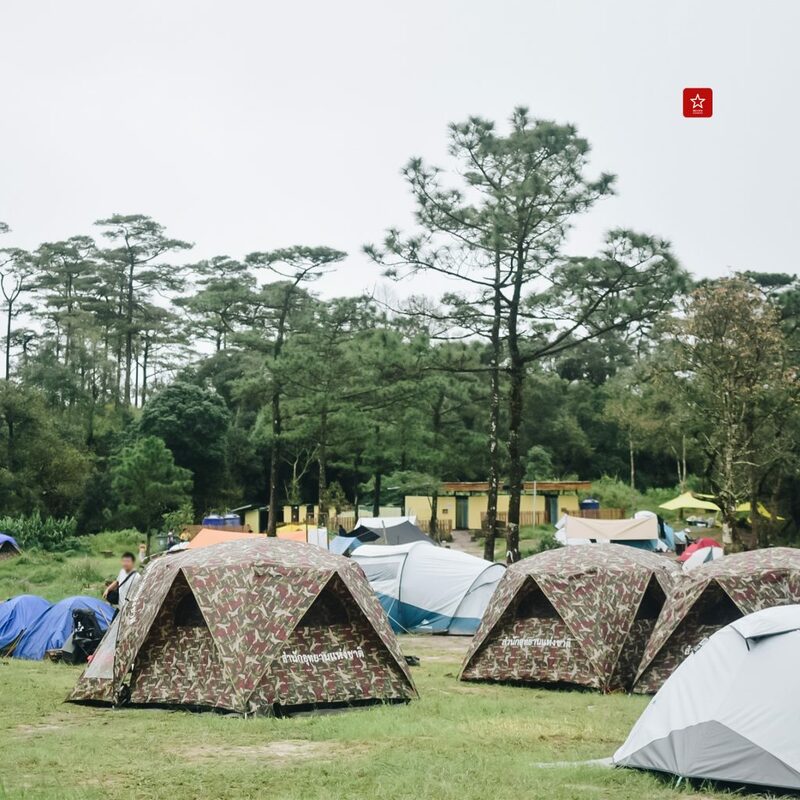 reviewchiangmai, ภูสอยดาว, รีวิวเชียงใหม่, ลานสนภูสอยดาว, อุตรดิตถ์, เดินป่าหน้าฝน, เดินป่าหน้าหนาว, เดินป่าอุตรดิตถ์, ภูสอยดาว เดินป่าหน้าฝน รีวิวเชียงใหม่ ไป ลานสนภูสอยดาว