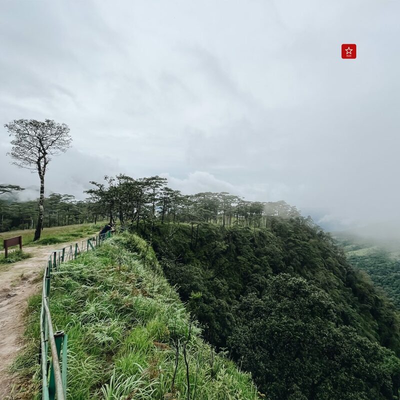 reviewchiangmai, ภูสอยดาว, รีวิวเชียงใหม่, ลานสนภูสอยดาว, อุตรดิตถ์, เดินป่าหน้าฝน, เดินป่าหน้าหนาว, เดินป่าอุตรดิตถ์, ภูสอยดาว เดินป่าหน้าฝน รีวิวเชียงใหม่ ไป ลานสนภูสอยดาว