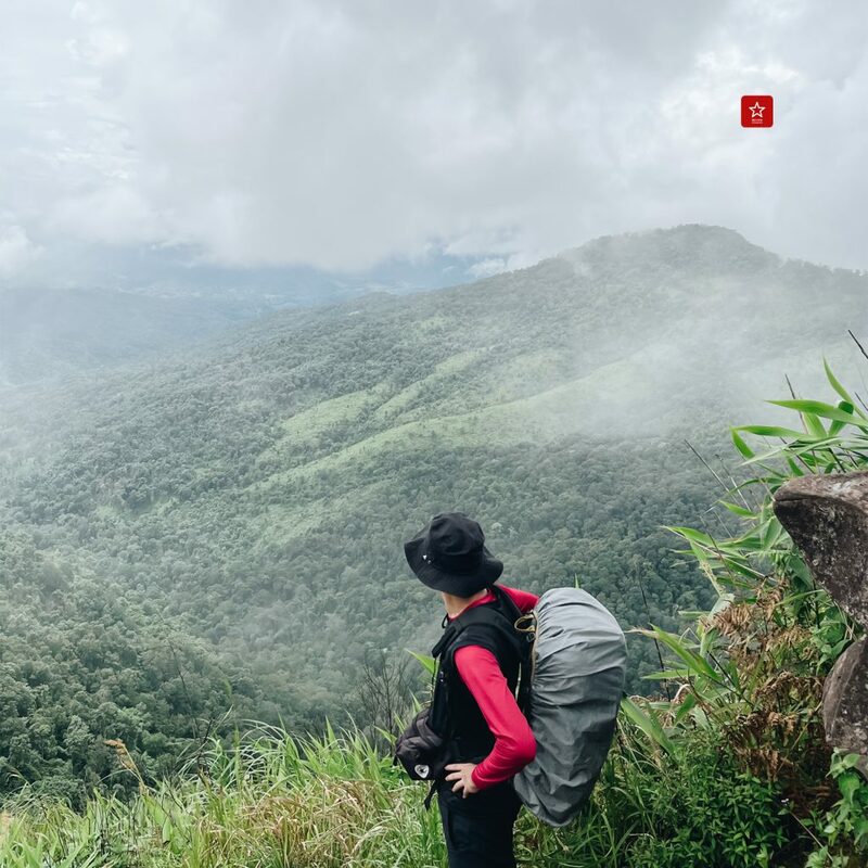 reviewchiangmai, ภูสอยดาว, รีวิวเชียงใหม่, ลานสนภูสอยดาว, อุตรดิตถ์, เดินป่าหน้าฝน, เดินป่าหน้าหนาว, เดินป่าอุตรดิตถ์, ภูสอยดาว เดินป่าหน้าฝน รีวิวเชียงใหม่ ไป ลานสนภูสอยดาว