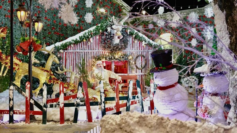 top 10+ คาเฟ่คริสต์มาส กรุงเทพ 2024 ร้านสวย ถ่ายรูปปัง