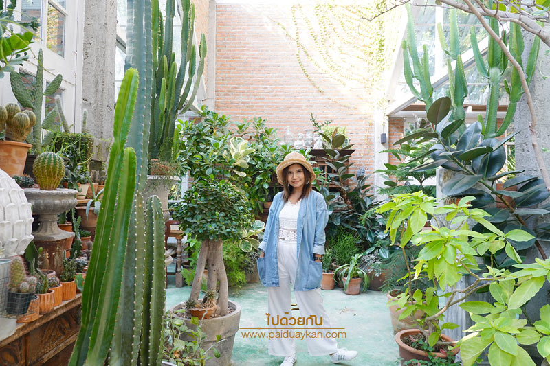 ร้านกาแฟเชียงใหม่, คาเฟ่เชีบงใหม่, keep in touch เชียงใหม่, keep in touch คาเฟ่สุดเท่ในสไตล์ rustic home