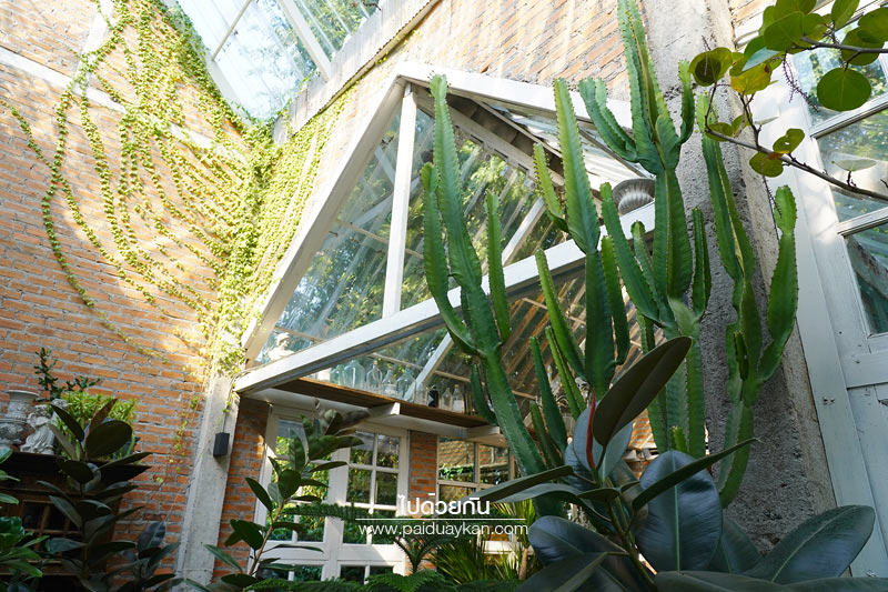 ร้านกาแฟเชียงใหม่, คาเฟ่เชีบงใหม่, keep in touch เชียงใหม่, keep in touch คาเฟ่สุดเท่ในสไตล์ rustic home