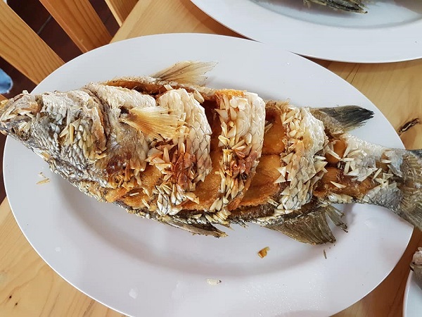 โฮมสเตย์บางขุนเทียน ที่เที่ยวใกล้กรุงเทพ อาหารอร่อย ใกล้ชิดธรรมชาติ