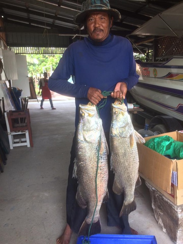 โฮมสเตย์บางขุนเทียน ที่เที่ยวใกล้กรุงเทพ อาหารอร่อย ใกล้ชิดธรรมชาติ