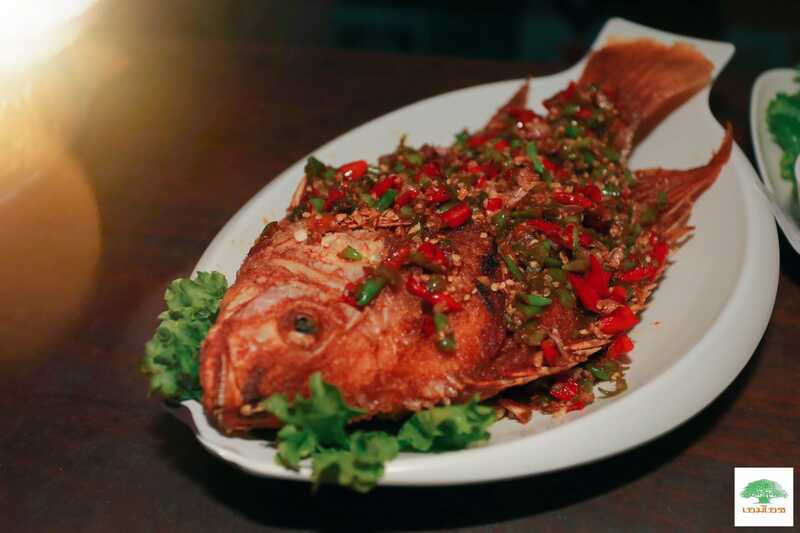 top 21+ ร้านอาหารสุพรรณบุรี ไปเยือนถิ่นเมื่อไหร่เป็นต้องแวะ!