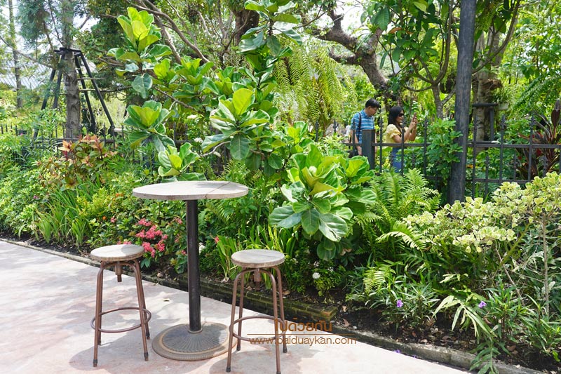 ร้านกาแฟหนองจอก, ร้านอาหารหนองจอก, voodoo café หนองจอก, คาเฟ่หนองจอก, voodoo café คาเฟ่สุดเท่ แห่งหนองจอก