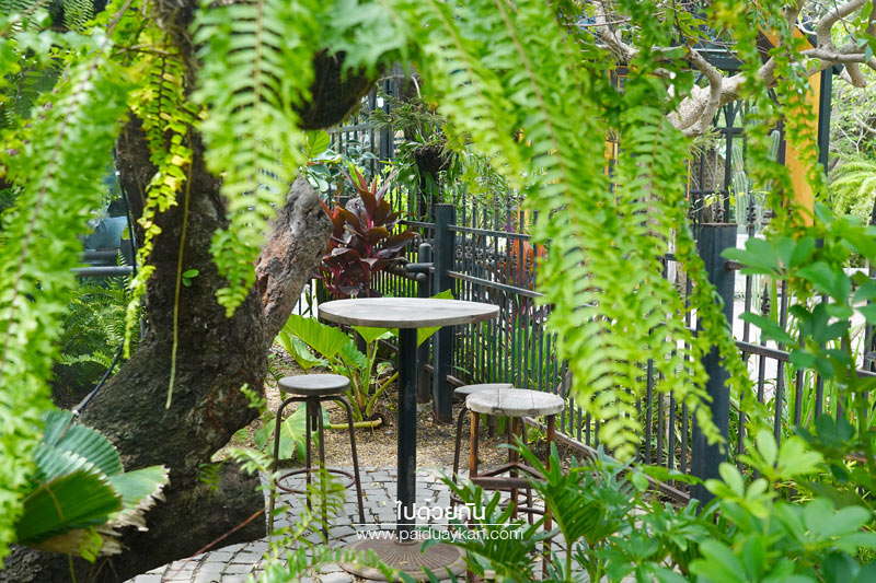 ร้านกาแฟหนองจอก, ร้านอาหารหนองจอก, voodoo café หนองจอก, คาเฟ่หนองจอก, voodoo café คาเฟ่สุดเท่ แห่งหนองจอก