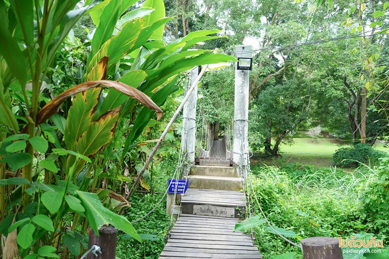 เตวแอ่ว take a walk, เตวแอ่ว, คาเฟ่ดอยสะเก็ด, ร้านกาแฟดยสะเก็ด, เตวแอ่ว take a walk คาเฟ่บ้านไม้ริมธารกลางป่าร่มรื่น