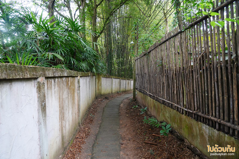 เตวแอ่ว take a walk, เตวแอ่ว, คาเฟ่ดอยสะเก็ด, ร้านกาแฟดยสะเก็ด, เตวแอ่ว take a walk คาเฟ่บ้านไม้ริมธารกลางป่าร่มรื่น