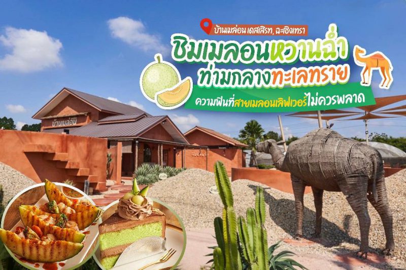 ร้านกาแฟฉะเชิงเทรา, ร้านกาแฟแปดริ้ว, คาเฟ่ ใกล้วัดหลวงพ่อโสธร, ร้านกาแฟบ้านโพธิ์, top 15+ คาเฟ่ฉะเชิงเทรา ถ่ายรูปสวย ดีต่อใจ