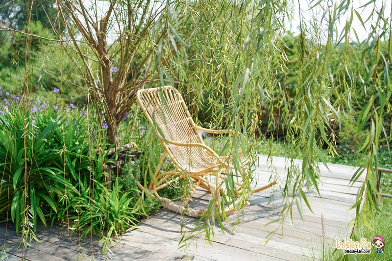 คาเฟ่ปทุมธานี, nitan cafe & garden, นิทานคาเฟ่ปทุมธานี, nitan cafe & garden ปทุมธานี