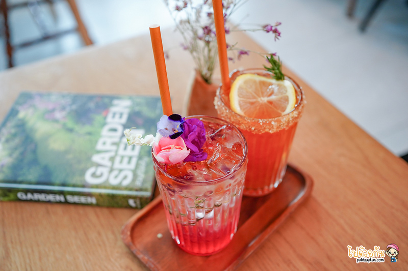 คาเฟ่ปทุมธานี, nitan cafe & garden, นิทานคาเฟ่ปทุมธานี, nitan cafe & garden ปทุมธานี