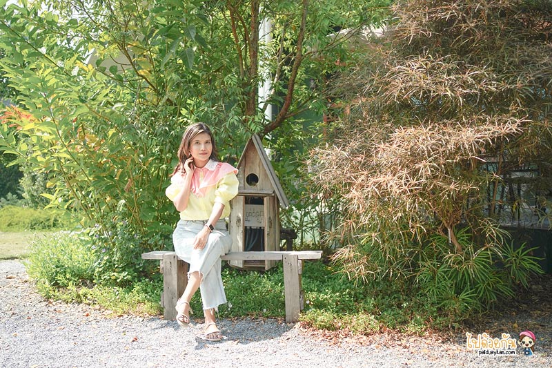 คาเฟ่ปทุมธานี, nitan cafe & garden, นิทานคาเฟ่ปทุมธานี, nitan cafe & garden ปทุมธานี