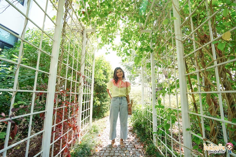 คาเฟ่ปทุมธานี, nitan cafe & garden, นิทานคาเฟ่ปทุมธานี, nitan cafe & garden ปทุมธานี