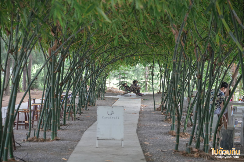 คาเฟ่เพชรบุรี, coco&coff บ้านแหลม, คาเฟ่บ้านแหลม, คาเฟ่บางตะบูน, coco&coff คาเฟ่ร่มรื่น กลางสวนมะพร้าว