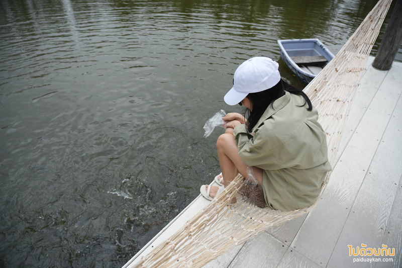 คาเฟ่เพชรบุรี, coco&coff บ้านแหลม, คาเฟ่บ้านแหลม, คาเฟ่บางตะบูน, coco&coff คาเฟ่ร่มรื่น กลางสวนมะพร้าว