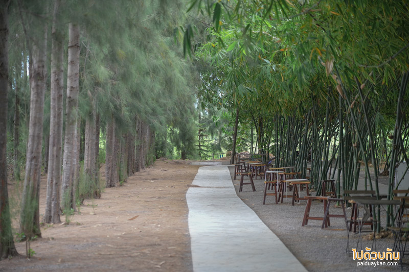 คาเฟ่เพชรบุรี, coco&coff บ้านแหลม, คาเฟ่บ้านแหลม, คาเฟ่บางตะบูน, coco&coff คาเฟ่ร่มรื่น กลางสวนมะพร้าว