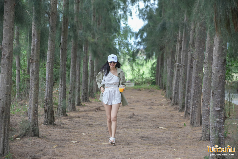 คาเฟ่เพชรบุรี, coco&coff บ้านแหลม, คาเฟ่บ้านแหลม, คาเฟ่บางตะบูน, coco&coff คาเฟ่ร่มรื่น กลางสวนมะพร้าว