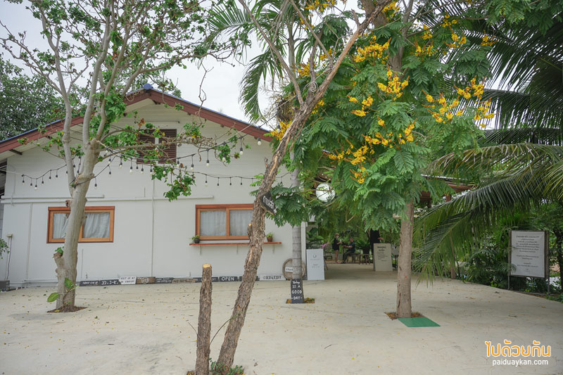 คาเฟ่เพชรบุรี, coco&coff บ้านแหลม, คาเฟ่บ้านแหลม, คาเฟ่บางตะบูน, coco&coff คาเฟ่ร่มรื่น กลางสวนมะพร้าว