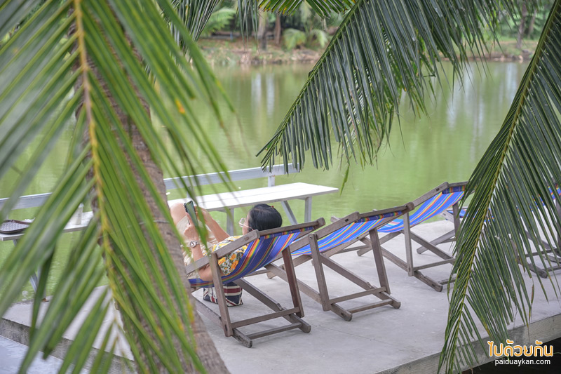 คาเฟ่เพชรบุรี, coco&coff บ้านแหลม, คาเฟ่บ้านแหลม, คาเฟ่บางตะบูน, coco&coff คาเฟ่ร่มรื่น กลางสวนมะพร้าว