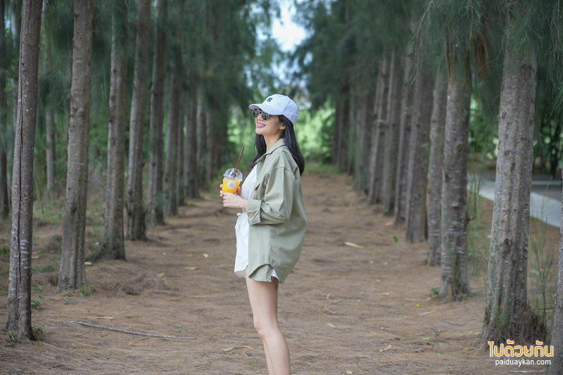 คาเฟ่เพชรบุรี, coco&coff บ้านแหลม, คาเฟ่บ้านแหลม, คาเฟ่บางตะบูน, coco&coff คาเฟ่ร่มรื่น กลางสวนมะพร้าว