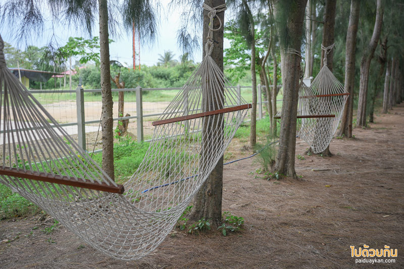 คาเฟ่เพชรบุรี, coco&coff บ้านแหลม, คาเฟ่บ้านแหลม, คาเฟ่บางตะบูน, coco&coff คาเฟ่ร่มรื่น กลางสวนมะพร้าว