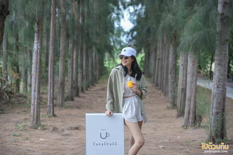 คาเฟ่เพชรบุรี, coco&coff บ้านแหลม, คาเฟ่บ้านแหลม, คาเฟ่บางตะบูน, coco&coff คาเฟ่ร่มรื่น กลางสวนมะพร้าว