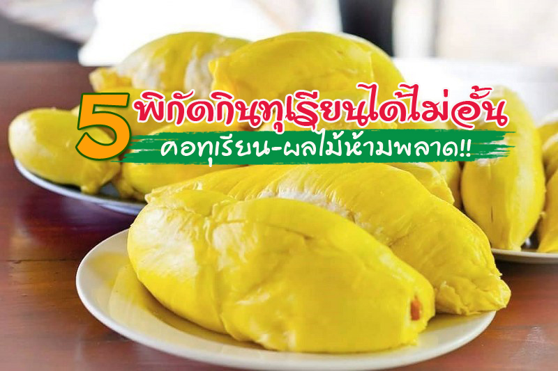 top 5+ บุฟเฟต์ทุเรียนได้ไม่อั้น หลากหลายพันธุ์ คอทุเรียน-ผลไม้ห้ามพลาด