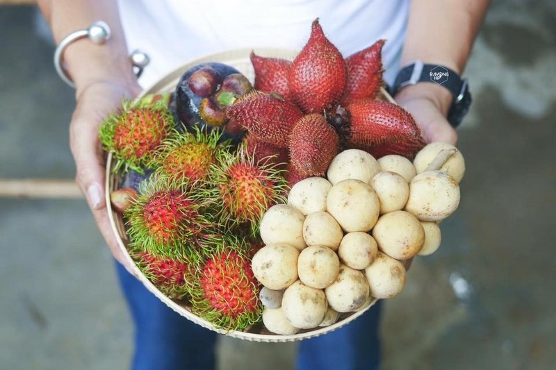 top 5+ บุฟเฟต์ทุเรียนได้ไม่อั้น หลากหลายพันธุ์ คอทุเรียน-ผลไม้ห้ามพลาด