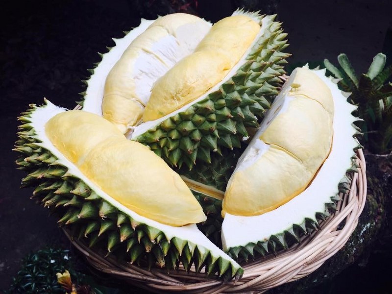 top 5+ บุฟเฟต์ทุเรียนได้ไม่อั้น หลากหลายพันธุ์ คอทุเรียน-ผลไม้ห้ามพลาด