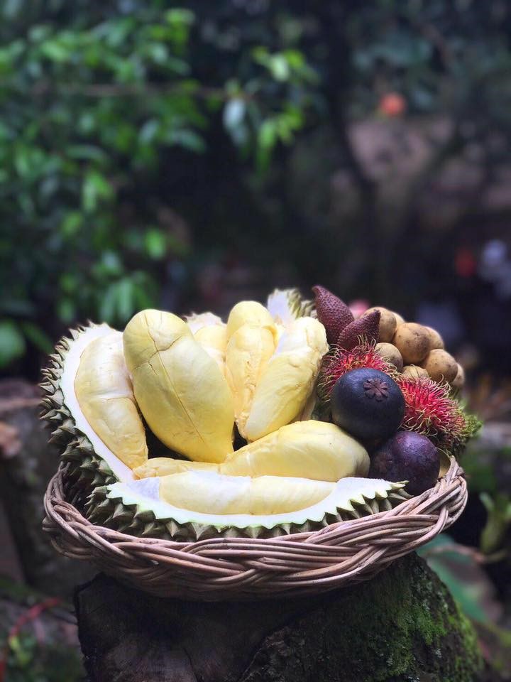 top 5+ บุฟเฟต์ทุเรียนได้ไม่อั้น หลากหลายพันธุ์ คอทุเรียน-ผลไม้ห้ามพลาด