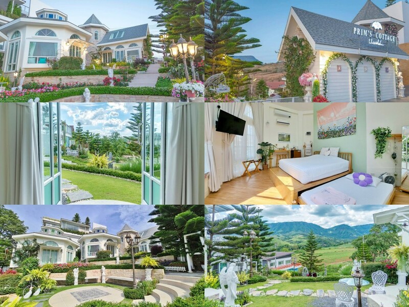 180 all day, 180 ออล เดย์, 180 ออลเดย์ ออลซีซั่น, arabica khaokho, at tree resort, at tree resort khaokho, behind khaokho, khao kho boutique camps, khaokho, khaokho baybay, khaokhoherbary, krin resort, papa garden khaokho, pino latte resort, prim's cottage, sasitada camping, secret resort, the bluesky resort, the campville khaokho, the hug garden khaokho, the sense view talaymok, กริณทร์ รีสอร์ท, คนดี ชิโน แกลมปิ้ง, ครีกวัลเล่ย์, คีรี ปุระ รีสอร์ต, คีรีปุระ, จังหวัดเพชรบูรณ์, ที่พักเขาค้อ, ที่พักเขาค้อ 2022, ที่พักเขาค้อ 2023, ที่พักเขาค้อ 2024, ที่พักเขาค้อ 2566, ที่พักเขาค้อ 2567, ที่พักเขาค้อ ทะเลหมอก, ที่พักเขาค้อ วิวสวย, ที่พักเขาค้อสวยๆ, บ้านต้นค้อ, บายเมือง ณ เขาค้อ, บายเมือง รีสอร์ทเขาค้อ, พีโน่ ลาเต้, พีโน่ ลาเต้ รีสอร์ท, ภูทับเบิก, ภูแก้ว รีสอร์ท, ภูแก้ว รีสอร์ท เขาค้อ, ภูแสนดาว, ภูแสนดาวรีสอร์ท, รีสอร์ตเขาค้อ, รีสอร์ทเขาค้อ, วัดพระธาตุผาซ่อนแก้ว, วิลล่า ป่าสน, วิวพอยต์ เขาค้อ, ศิริ นที รีสอร์ท, สมันธิตา รีสอร์ท, สสิธาดาญ์ แคมป์ปิ้ง, อาราบิกา ณ เขาค้อ, เขาค้อ, เขาค้อ บูทีก แคมป์, เขาค้อเบย์เบย์, เขาค้อเฮอร์เบอรี, เข้าค่าย cafe & cabin, เดอะ บลูสกาย รีสอร์ท, เดอะ ฮัก การ์เด้น เขาค้อ, เดอะ เซ็นส์ วิวทะเลหมอก, เดอะ แคมป์วิลล์ เขาค้อ, เที่ยวภูทับเบิก, เที่ยวเขาค้อ, เที่ยวเพชรบูรณ์, เพชรบูรณ์, แอท ทรี รีสอร์ต, แอท ทรี รีสอร์ต เขาค้อ, โรงแรมเขาค้อ, top 30+ ที่พักเขาค้อ [กรกฎาคม 2024] ดินแดนแห่งขุนเขา และสายหมอก จังหวัดเพชรบูรณ์