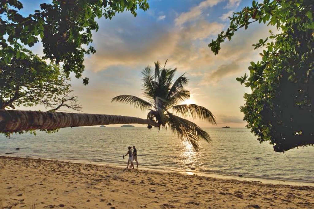 awa resort, dewa koh chang, emerald cove, kacha resort, kc grande, koh chang hotels, koh chang hotels white sand beach, koh chang resort, marina sands resort, mercure, pajamas koh chang, resolution resort, santhiya tree koh chang resort, vayna boutique koh chang, กจาปุรี รีสอร์ท, คชา รีสอร์ท, คลองพร้าว รีสอร์ท, จังหวัดตราด, ณ ธารา รีสอร์ท, ณ ธารา รีสอร์ท เกาะช้าง, ตราด, ท่องเที่ยวภาคตะวันออก, ที่กิน ที่เที่ยว, ที่พักเกาะช้าง, ที่พักเกาะช้าง 2024, ที่พักเกาะช้าง 2567, ที่พักเกาะช้าง ติดทะเล, ที่พักเกาะช้างติดทะเล, ที่พักเกาะช้างติดทะเล 2024, ที่พักเกาะช้างติดทะเล 2567, ปาจามัส เกาะช้าง, ฟลอร่า ไอทะเล รีสอร์ท, มารีน่าแซนด์ รีสอร์ท, รามายานา เกาะช้าง, รีสอร์ทเกาะช้าง, รีสอร์ทเกาะช้าง 2024, สันธิญา ทรี เกาะช้าง รีสอร์ท, หาดคลองพร้าว, หาดทรายขาว, หาดไก่แบ้, อาน่า รีสอร์ท แอนด์ สปา, อ่าวใบลาน, เกาะช้าง, เกาะช้าง 2024, เกาะช้าง 2567, เกาะช้าง ที่พัก, เกาะช้าง ที่พัก 2024, เกาะช้าง ที่พัก 2567, เค บี รีสอร์ต, เค บี รีสอร์ท เกาะช้าง, เคซี แกรนด์, เซ็นทารา เกาะช้าง ทรอปิคานา รีสอร์ท, เดวา เกาะช้าง, เดอะ ชิลล์ รีสอร์ท, เดอะ ชิลล์ เกาะช้าง, เดอะสแปลช เกาะช้าง, เดอะเดวา, เที่ยวจังหวัดตราด, เนเจอร์บีช รีสอร์ท, เมอร์เคียว, เมอร์เคียว เกาะช้าง, เรโซลูชั่น รีสอร์ท, เวย์นา บูทิก เกาะช้าง, เอวา รีสอร์ท, โรงแรมดิเอ็มเมรัลโคฟ, โรงแรมเกาะช้าง, top 30+ ที่พักเกาะช้าง [กรกฎาคม 2024] ติดทะเล พักผ่อนสุดชิล ริมทะเลสีฟ้าคราม