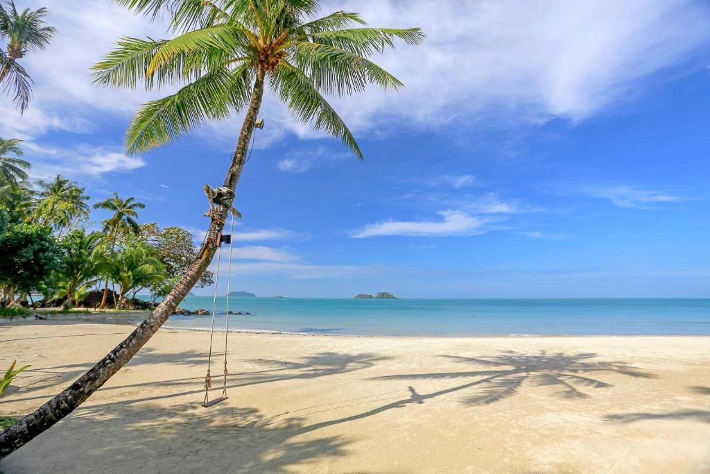 awa resort, dewa koh chang, emerald cove, kacha resort, kc grande, koh chang hotels, koh chang hotels white sand beach, koh chang resort, marina sands resort, mercure, pajamas koh chang, resolution resort, santhiya tree koh chang resort, vayna boutique koh chang, กจาปุรี รีสอร์ท, คชา รีสอร์ท, คลองพร้าว รีสอร์ท, จังหวัดตราด, ณ ธารา รีสอร์ท, ณ ธารา รีสอร์ท เกาะช้าง, ตราด, ท่องเที่ยวภาคตะวันออก, ที่กิน ที่เที่ยว, ที่พักเกาะช้าง, ที่พักเกาะช้าง 2024, ที่พักเกาะช้าง 2567, ที่พักเกาะช้าง ติดทะเล, ที่พักเกาะช้างติดทะเล, ที่พักเกาะช้างติดทะเล 2024, ที่พักเกาะช้างติดทะเล 2567, ปาจามัส เกาะช้าง, ฟลอร่า ไอทะเล รีสอร์ท, มารีน่าแซนด์ รีสอร์ท, รามายานา เกาะช้าง, รีสอร์ทเกาะช้าง, รีสอร์ทเกาะช้าง 2024, สันธิญา ทรี เกาะช้าง รีสอร์ท, หาดคลองพร้าว, หาดทรายขาว, หาดไก่แบ้, อาน่า รีสอร์ท แอนด์ สปา, อ่าวใบลาน, เกาะช้าง, เกาะช้าง 2024, เกาะช้าง 2567, เกาะช้าง ที่พัก, เกาะช้าง ที่พัก 2024, เกาะช้าง ที่พัก 2567, เค บี รีสอร์ต, เค บี รีสอร์ท เกาะช้าง, เคซี แกรนด์, เซ็นทารา เกาะช้าง ทรอปิคานา รีสอร์ท, เดวา เกาะช้าง, เดอะ ชิลล์ รีสอร์ท, เดอะ ชิลล์ เกาะช้าง, เดอะสแปลช เกาะช้าง, เดอะเดวา, เที่ยวจังหวัดตราด, เนเจอร์บีช รีสอร์ท, เมอร์เคียว, เมอร์เคียว เกาะช้าง, เรโซลูชั่น รีสอร์ท, เวย์นา บูทิก เกาะช้าง, เอวา รีสอร์ท, โรงแรมดิเอ็มเมรัลโคฟ, โรงแรมเกาะช้าง, top 30+ ที่พักเกาะช้าง [กรกฎาคม 2024] ติดทะเล พักผ่อนสุดชิล ริมทะเลสีฟ้าคราม