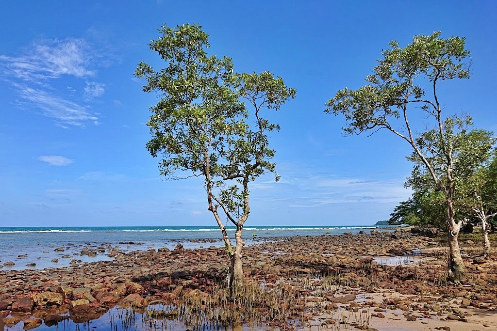 awa resort, dewa koh chang, emerald cove, kacha resort, kc grande, koh chang hotels, koh chang hotels white sand beach, koh chang resort, marina sands resort, mercure, pajamas koh chang, resolution resort, santhiya tree koh chang resort, vayna boutique koh chang, กจาปุรี รีสอร์ท, คชา รีสอร์ท, คลองพร้าว รีสอร์ท, จังหวัดตราด, ณ ธารา รีสอร์ท, ณ ธารา รีสอร์ท เกาะช้าง, ตราด, ท่องเที่ยวภาคตะวันออก, ที่กิน ที่เที่ยว, ที่พักเกาะช้าง, ที่พักเกาะช้าง 2024, ที่พักเกาะช้าง 2567, ที่พักเกาะช้าง ติดทะเล, ที่พักเกาะช้างติดทะเล, ที่พักเกาะช้างติดทะเล 2024, ที่พักเกาะช้างติดทะเล 2567, ปาจามัส เกาะช้าง, ฟลอร่า ไอทะเล รีสอร์ท, มารีน่าแซนด์ รีสอร์ท, รามายานา เกาะช้าง, รีสอร์ทเกาะช้าง, รีสอร์ทเกาะช้าง 2024, สันธิญา ทรี เกาะช้าง รีสอร์ท, หาดคลองพร้าว, หาดทรายขาว, หาดไก่แบ้, อาน่า รีสอร์ท แอนด์ สปา, อ่าวใบลาน, เกาะช้าง, เกาะช้าง 2024, เกาะช้าง 2567, เกาะช้าง ที่พัก, เกาะช้าง ที่พัก 2024, เกาะช้าง ที่พัก 2567, เค บี รีสอร์ต, เค บี รีสอร์ท เกาะช้าง, เคซี แกรนด์, เซ็นทารา เกาะช้าง ทรอปิคานา รีสอร์ท, เดวา เกาะช้าง, เดอะ ชิลล์ รีสอร์ท, เดอะ ชิลล์ เกาะช้าง, เดอะสแปลช เกาะช้าง, เดอะเดวา, เที่ยวจังหวัดตราด, เนเจอร์บีช รีสอร์ท, เมอร์เคียว, เมอร์เคียว เกาะช้าง, เรโซลูชั่น รีสอร์ท, เวย์นา บูทิก เกาะช้าง, เอวา รีสอร์ท, โรงแรมดิเอ็มเมรัลโคฟ, โรงแรมเกาะช้าง, top 30+ ที่พักเกาะช้าง [กรกฎาคม 2024] ติดทะเล พักผ่อนสุดชิล ริมทะเลสีฟ้าคราม