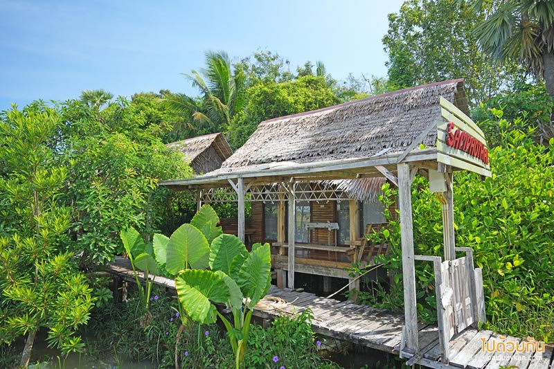 สำเภาไทย พัทลุง ชมวิวทุ่งนาสวย ถ่ายรูปหุ่นคิงคองยักษ์