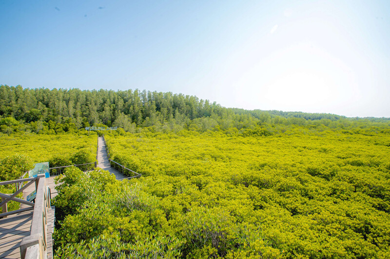 ระยอง, top 10+ ที่เที่ยวระยอง 2567 ที่เที่ยวติดทะเล แลนด์มาร์คระยอง วิวสวย บรรยากาศดี