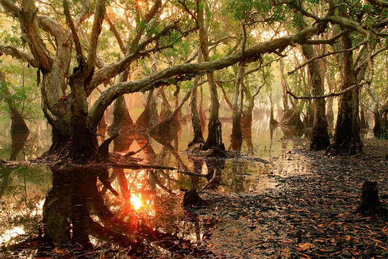 ระยอง, top 10+ ที่เที่ยวระยอง 2567 ที่เที่ยวติดทะเล แลนด์มาร์คระยอง วิวสวย บรรยากาศดี