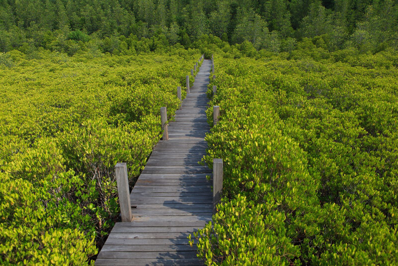 ระยอง, top 10+ ที่เที่ยวระยอง 2567 ที่เที่ยวติดทะเล แลนด์มาร์คระยอง วิวสวย บรรยากาศดี