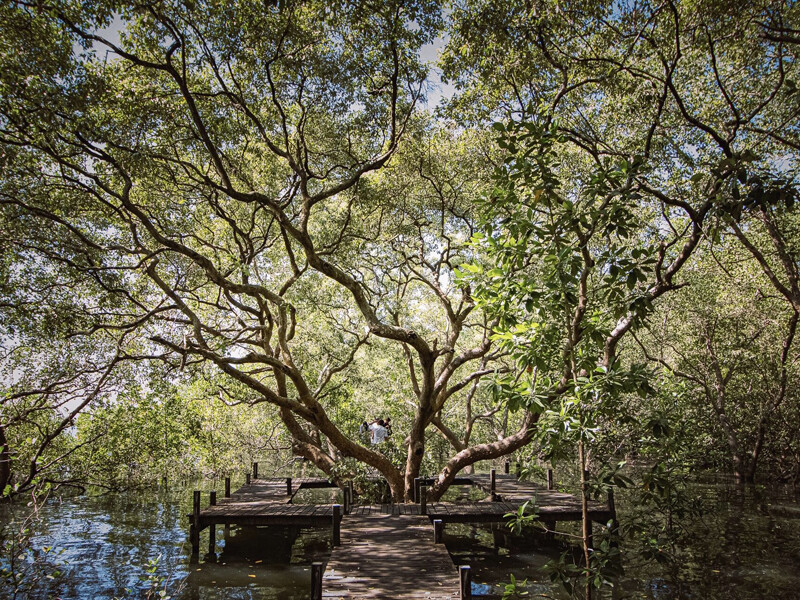 ระยอง, top 10+ ที่เที่ยวระยอง 2567 ที่เที่ยวติดทะเล แลนด์มาร์คระยอง วิวสวย บรรยากาศดี