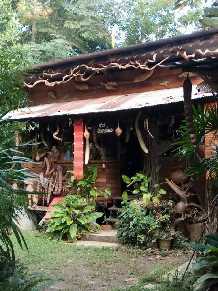 top 9+ ที่พักดอยช้าง 2567 จ.เชียงราย ที่พักท่ามกลางขุนเขาและสายหมอก