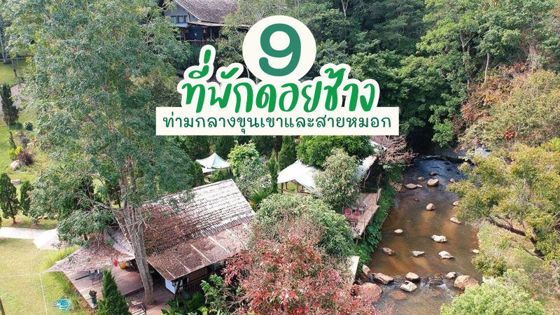 top 9+ ที่พักดอยช้าง 2567 จ.เชียงราย ที่พักท่ามกลางขุนเขาและสายหมอก
