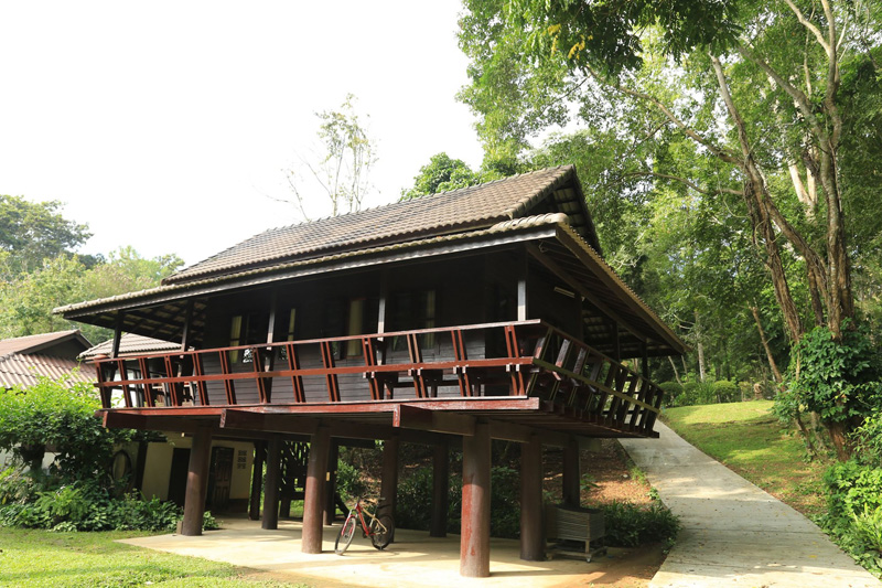 top 9+ ที่พักดอยช้าง 2567 จ.เชียงราย ที่พักท่ามกลางขุนเขาและสายหมอก