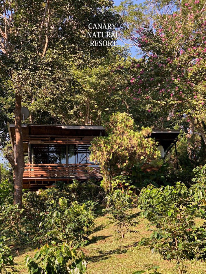 top 9+ ที่พักดอยช้าง 2567 จ.เชียงราย ที่พักท่ามกลางขุนเขาและสายหมอก