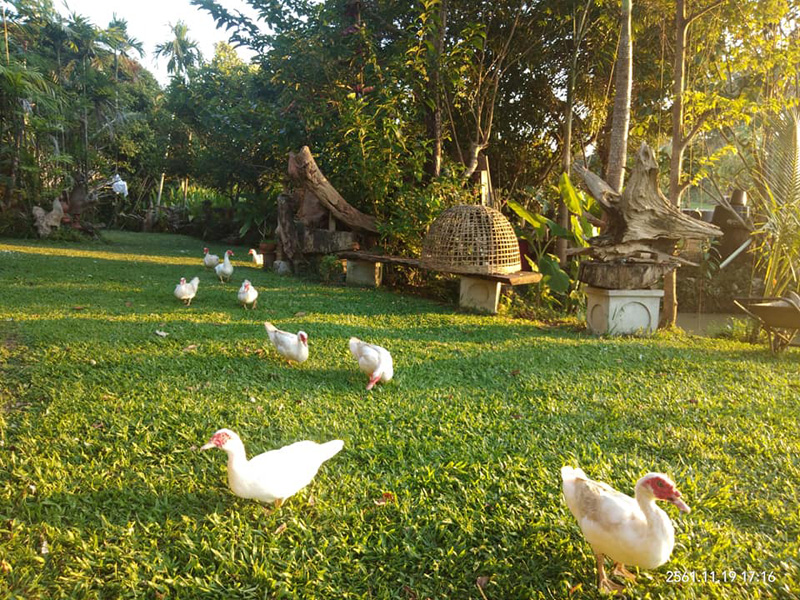 top 9+ ที่พักดอยช้าง 2567 จ.เชียงราย ที่พักท่ามกลางขุนเขาและสายหมอก